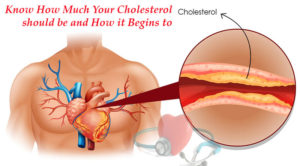 Know How Much Your Cholesterol should be and How it Begins to Bother You