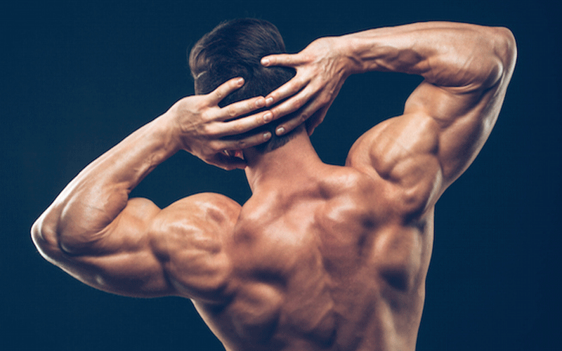 Add 7 High Protein Foods to make Muscles Strong