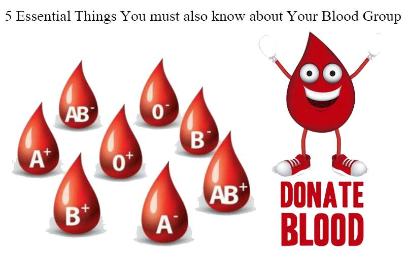 5 Essential Things You must also know about your Blood Group