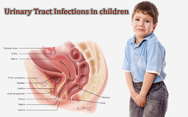 Urinary Tract Infection Problems May be got in Children