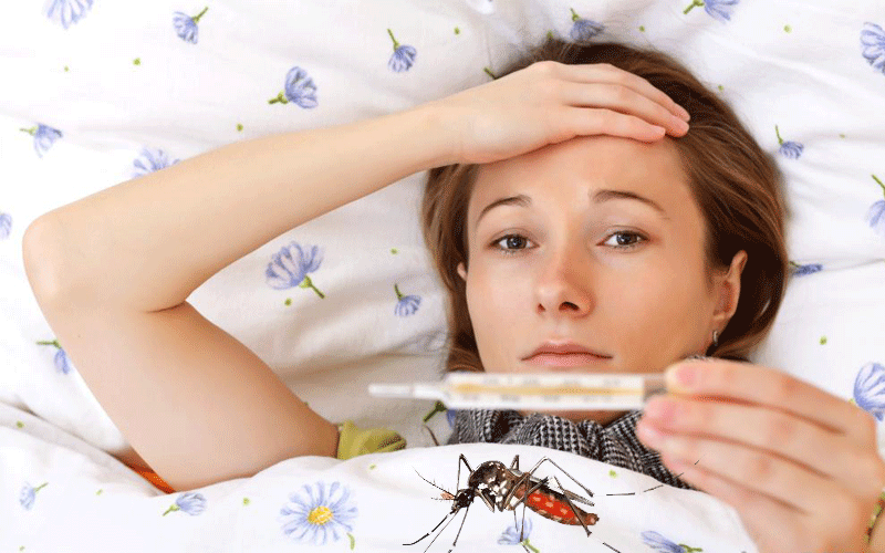 When does Dengue Fever become Dangerous and What are Symptoms of Severe Dengue?