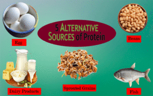 You Should Know About Benefits of These 4 Protein Sources