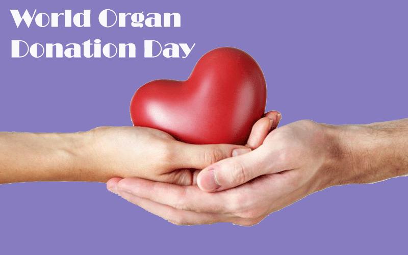 Know About Organ Donation in India