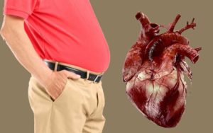 Belly Fat Increases the Risk of Heart Diseases