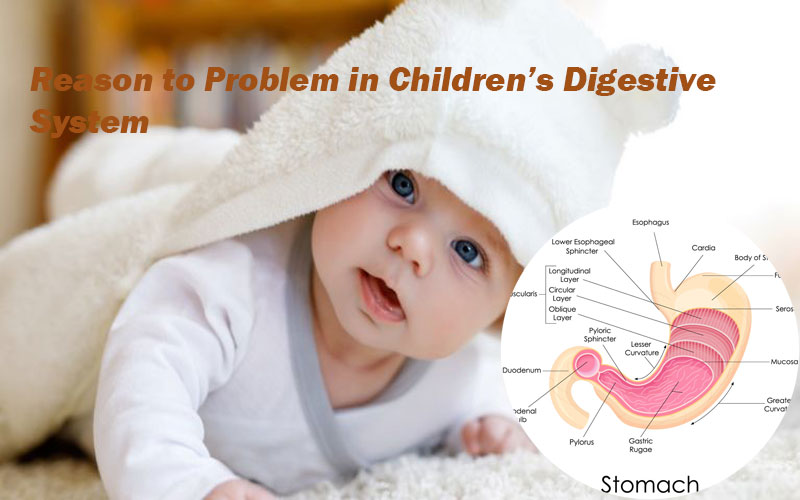 Reason to Problem in Children’s Digestive System