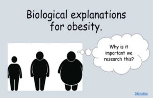 The Behavioral Explanations of Obesity