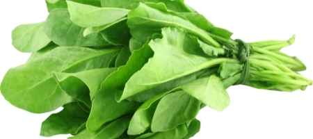 Spinach