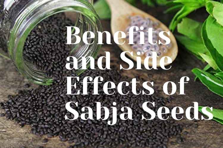 Benefits and Side Effects of Sabja Seeds
