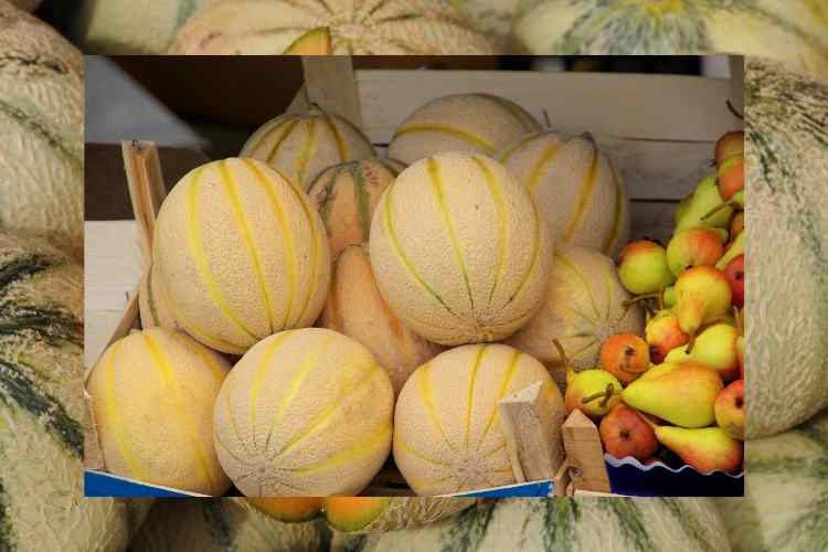 10 Health Benefits of Muskmelon that you must know