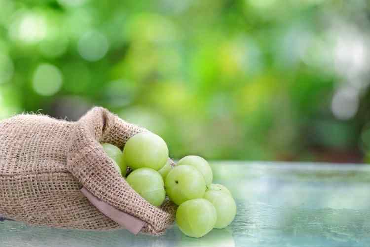Reasons To Eat Amla Every Day