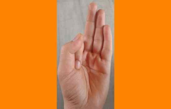 Vaayan Mudra