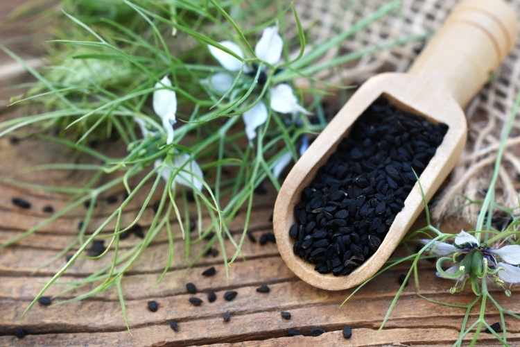 Kalonji Seeds and its Health Benefits