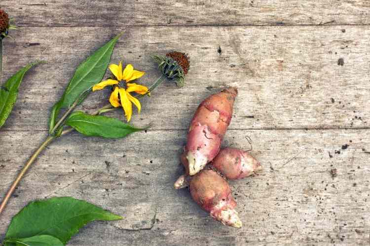 What Are Inulin And The Health Benefits Of Inulin- Know In Details
