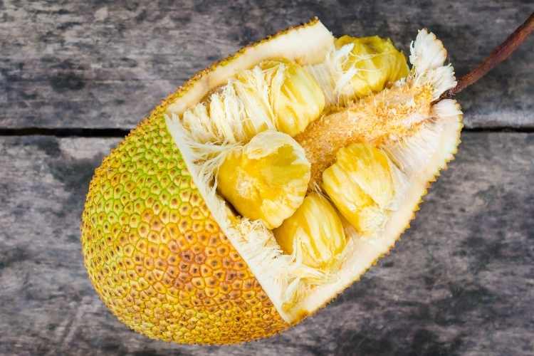 Health Benefits of Jackfruit