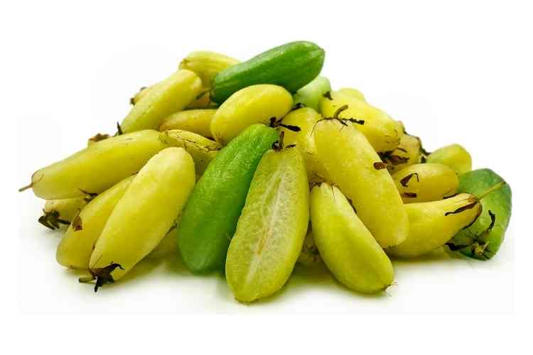 Health Benefits of IBA Fruit: Do you know about this Nutritious Fruit?