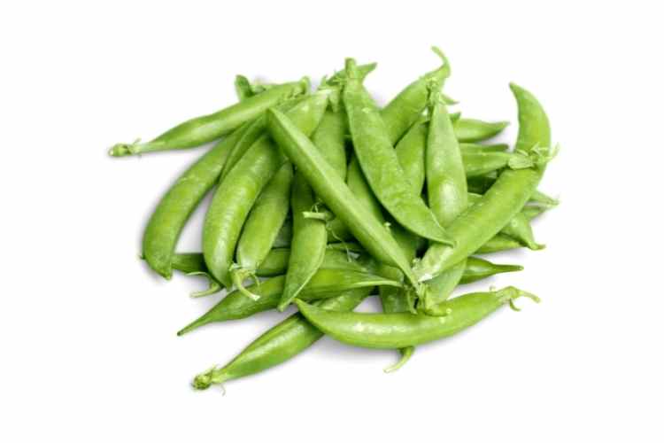 Health Benefits of Isoflavones: Benefits of Soy Isoflavones