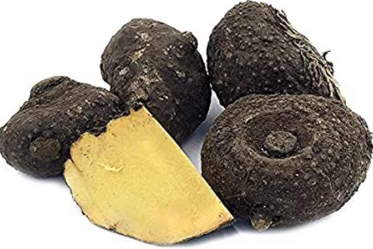 What Are The Ultimate Health Benefits Of Suran, Jimikand Or Elephant Foot Yam?