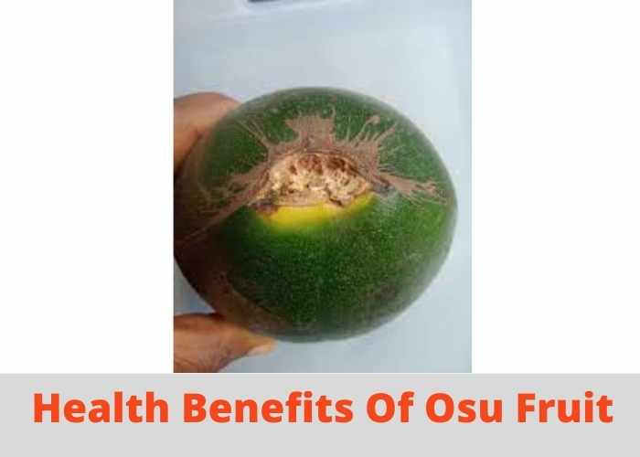 Health Benefits Of Osu Fruit
