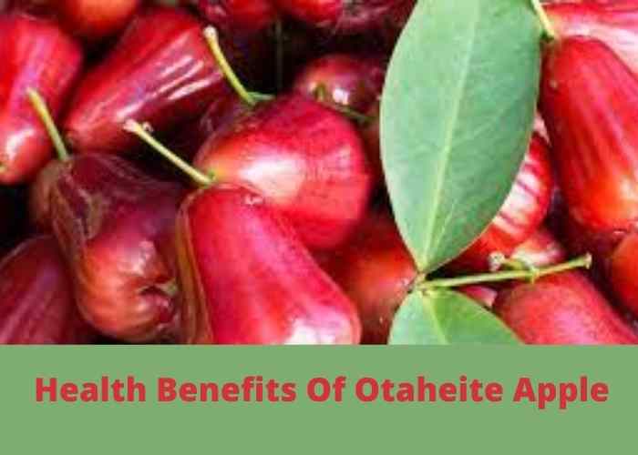 Health Benefits Of Otaheite Apple