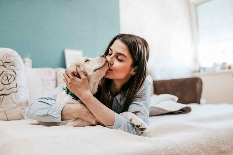 Health Benefits Of Owning A Pet