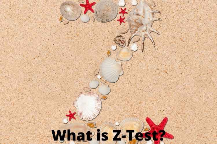What is Z-Test? Here Is A Detailed Information.