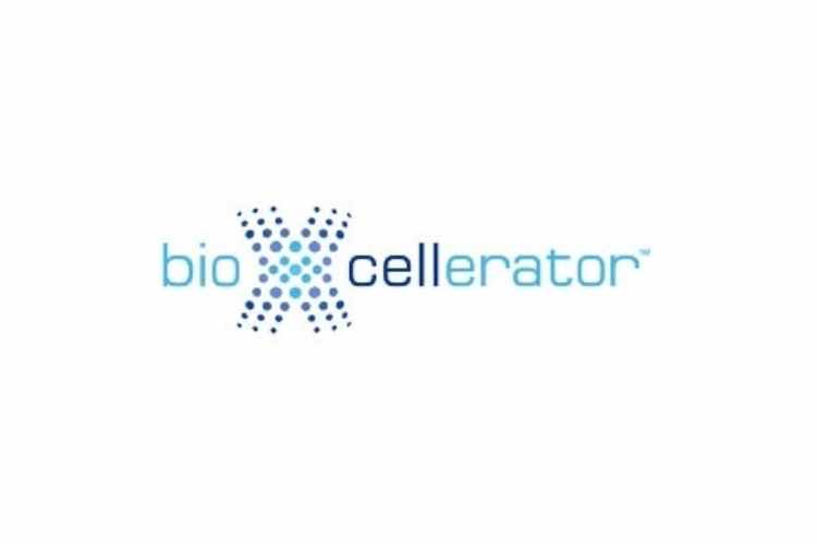 Bioxcellerator : A Complete information Guide