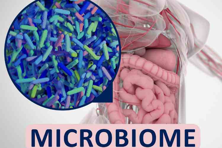 Exploring the Role of Gut Microbiome Tests in Indian Healthcare