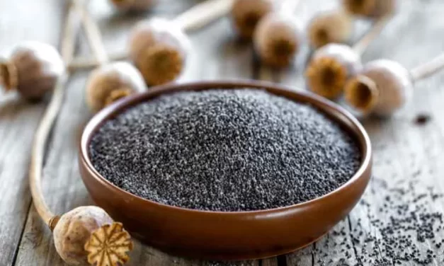 The Power of Poppy Seeds: Unveiling the Kaskas Benefits