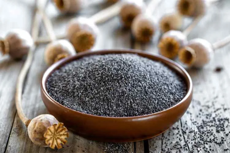 The Power of Poppy Seeds: Unveiling the Kaskas Benefits