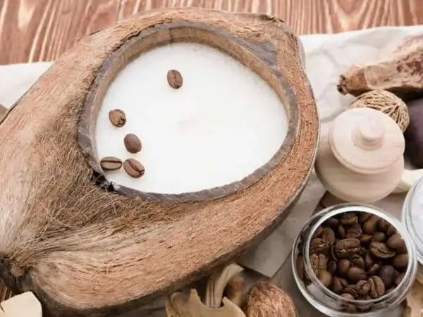 Soymamicoco: Get all the details about Soymanicoco Here
